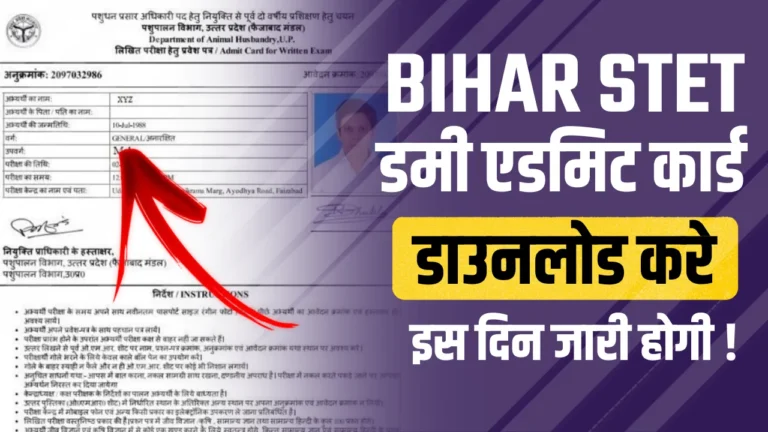 Bihar STET Dummy Admit Card 2024